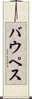 バウペス Scroll