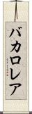 バカロレア Scroll