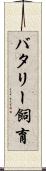 バタリー飼育 Scroll