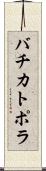 バチカトポラ Scroll