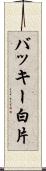 バッキー白片 Scroll