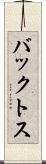 バックトス Scroll