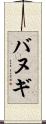 バヌギ Scroll