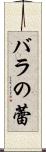 バラの蕾 Scroll