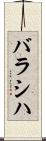バラシハ Scroll