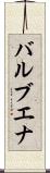 バルブエナ Scroll