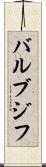バルブジフ Scroll