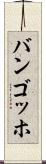 バンゴッホ Scroll