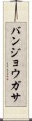 バンジョウガサ Scroll