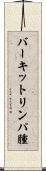 バーキットリンパ腫 Scroll
