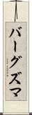 バーグズマ Scroll