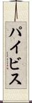 パイビス Scroll