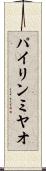 パイリンミヤオ Scroll