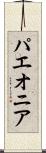 パエオニア Scroll