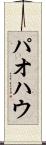 パオ Scroll