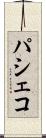 パシェコ Scroll