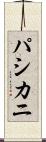 パシカニ Scroll