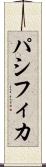 パシフィカ Scroll