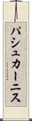 パシュカーニス Scroll