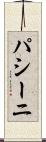 パシーニ Scroll