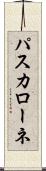 パスカローネ Scroll