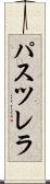 パスツレラ Scroll