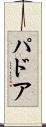 パドア Scroll