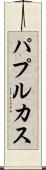 パプルカス Scroll