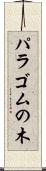 パラゴムの木 Scroll