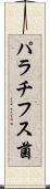 パラチフス菌 Scroll