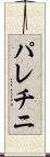 パレチニ Scroll