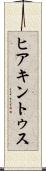 ヒアキントゥス Scroll