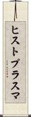 ヒストプラスマ Scroll