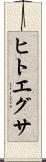 ヒトエグサ Scroll