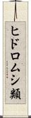 ヒドロムシ類 Scroll