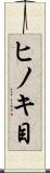 ヒノキ目 Scroll