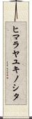 ヒマラヤユキノシタ Scroll