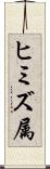 ヒミズ属 Scroll