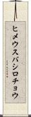 ヒメウスバシロチョウ Scroll