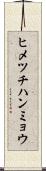 ヒメツチハンミョウ Scroll