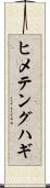 ヒメテングハギ Scroll
