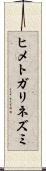ヒメトガリネズミ Scroll