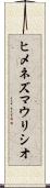 Jimenez Mauricio Scroll