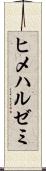 ヒメハルゼミ Scroll