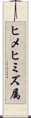 ヒメヒミズ属 Scroll