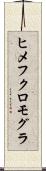 ヒメフクロモグラ Scroll