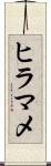 ヒラマメ Scroll