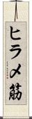 ヒラメ筋 Scroll