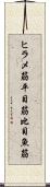 ヒラメ筋 Scroll