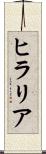 ヒラリア Scroll
